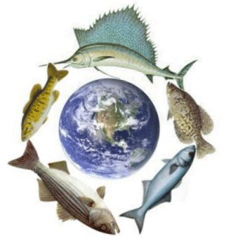 Dünya Balıkların Üzerinde Mi ?